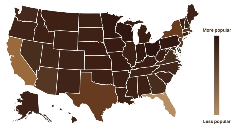 Brown Flooring Popularity by US States 2024