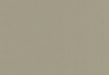 abstract 9975 moleskin