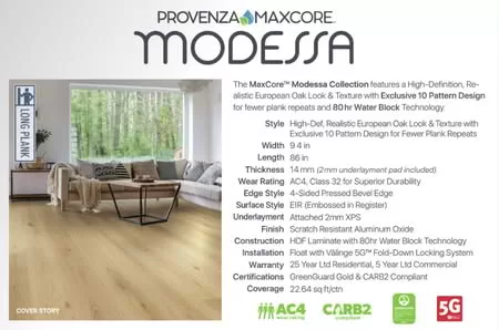 Provenza Floors, Inc. Brand Collection Introduction Living room with wood plank flooring