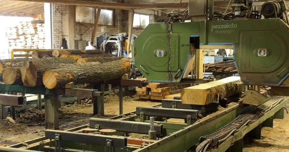 Lumber fabricator factory Band saw cutting logs